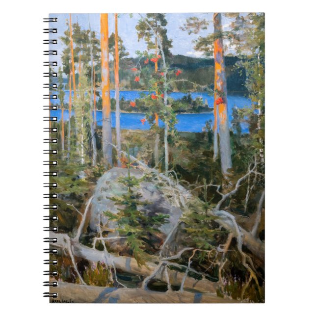 Carnet Akseli Gallen-Kallela - Lac dans le désert (Devant)