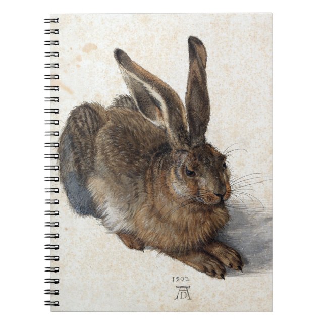 Carnet Albrecht Dürer, Young Hare, 1502 (Devant)