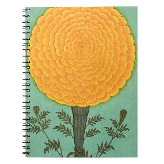 Carnet Album de petite taille | A Marigold (Devant)