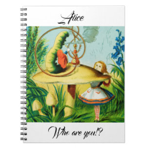 Carnet Alice au pays des merveilles - champignon, assis u
