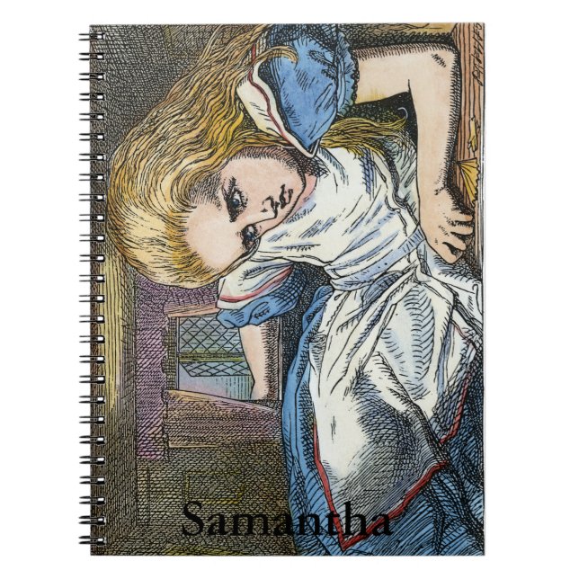 CARNET ALICE EN WONDERLAND (Devant)