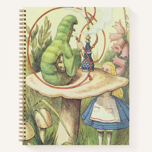 Carnet Alice rencontre la Caterpillar (Devant)