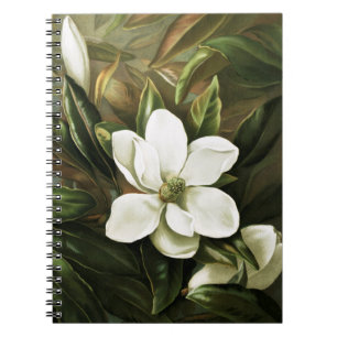 Carnet Alicia H. Laird : Magnolia Grandflora