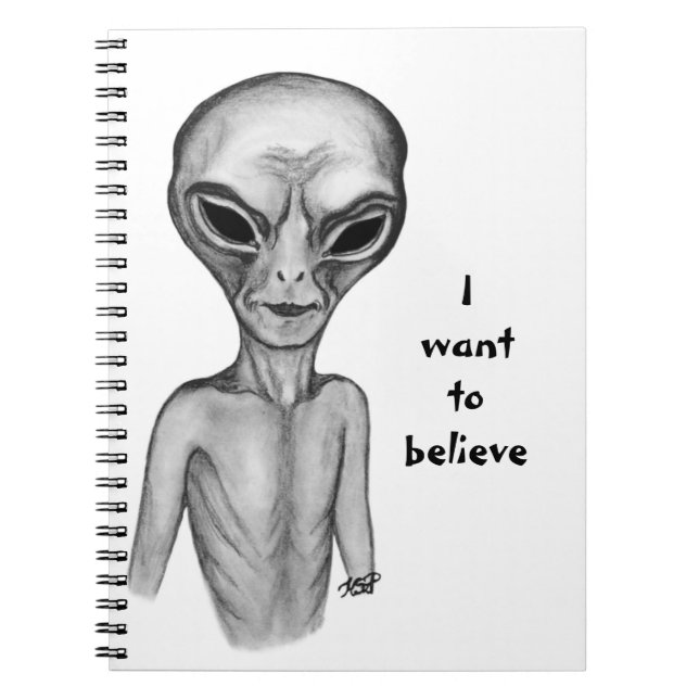 Carnet Alien gris, je veux croire (Devant)