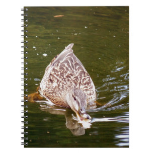 Carnet Alimentation Cute Duck