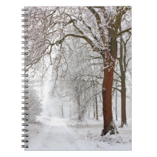 Carnet Allée d'arbres   Parc de Stupinigi, Italie