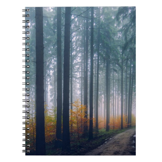 Carnet Allée majestueuse bordée d'arbres en forêt (Devant)