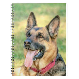 Carnet Allemand Shepard