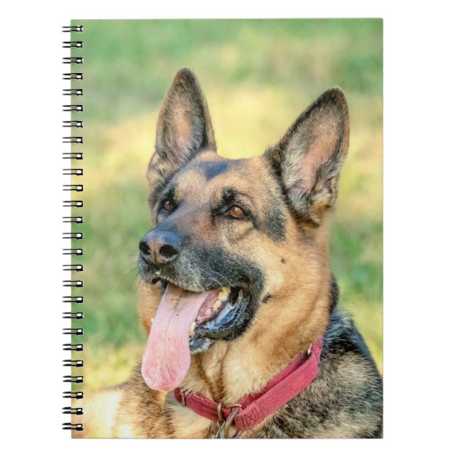 Carnet Allemand Shepard (Devant)