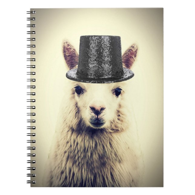 Carnet Alpaca avec un haut-de-forme (Devant)