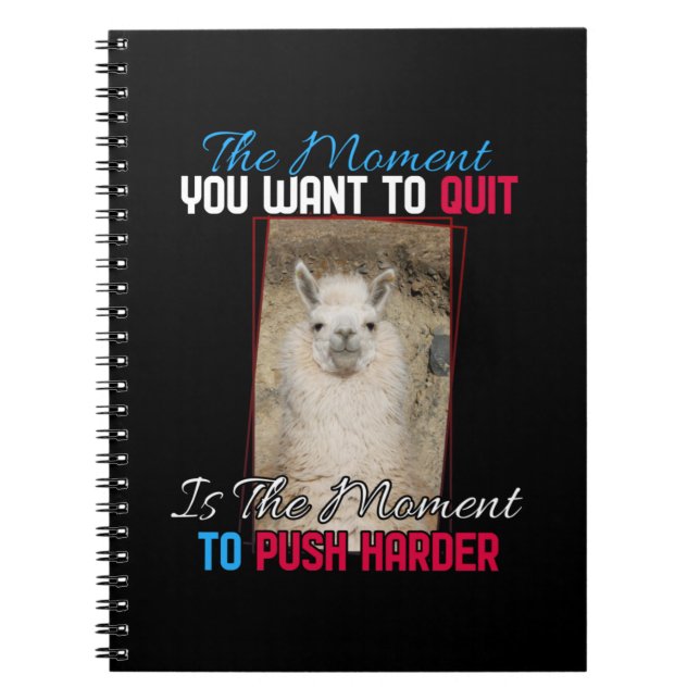 Carnet Alpaca Llama - Push Harder Encouragement (Devant)
