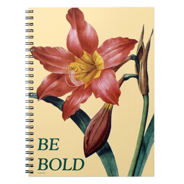 Carnet Amaryllis (Devant)