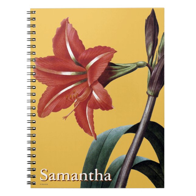 Carnet Amaryllis barrée (Devant)