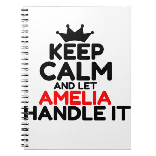 CARNET AMÉLIE