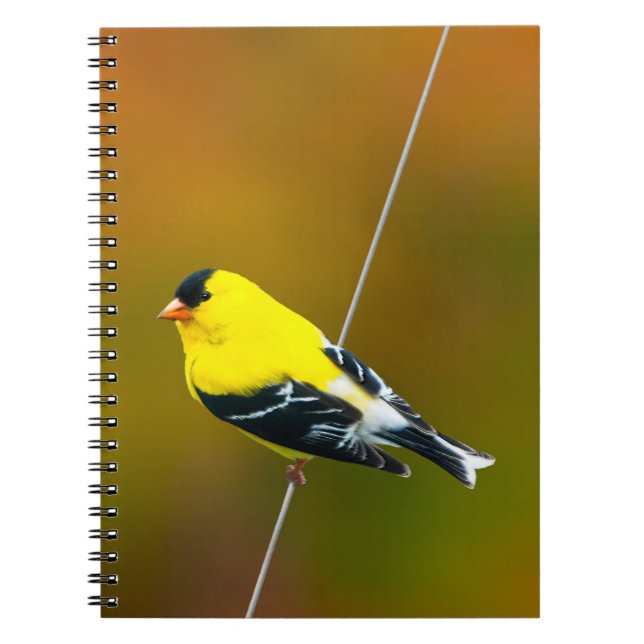 Carnet American Goldfinch - Photo originale (Devant)
