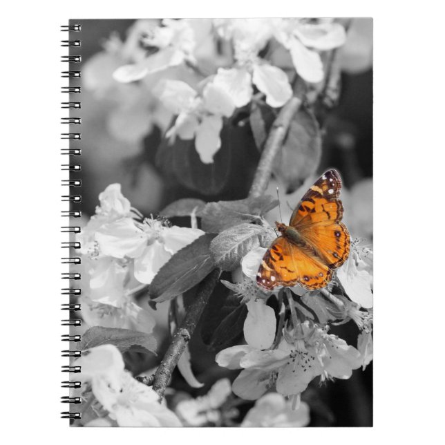 Carnet American Lady Butterfly Spiral Notebook (Devant)