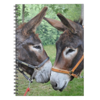 Carnet Amis d'âne