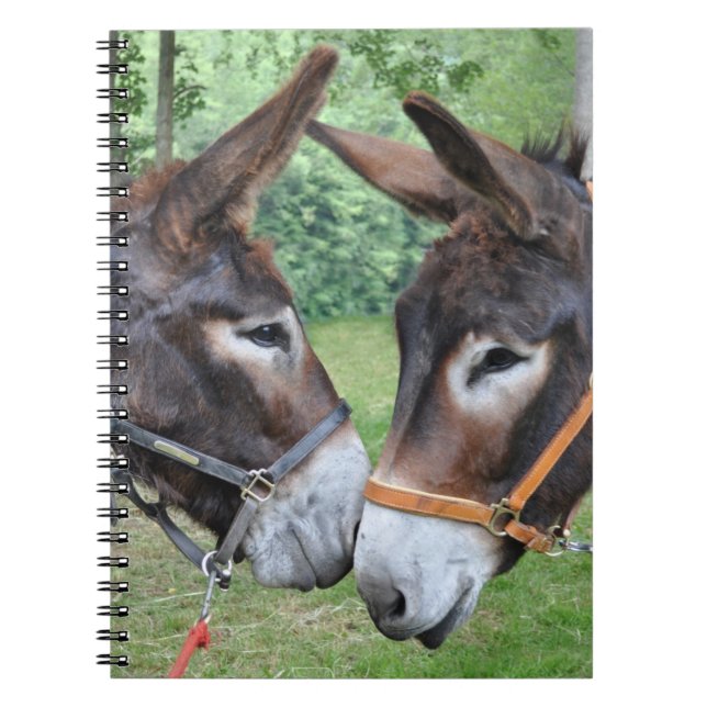 Carnet Amis d'âne (Devant)