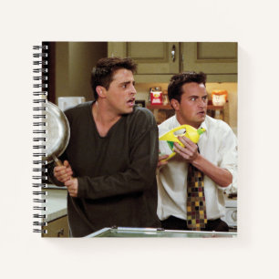 Carnet AMIS™   Joey & Chandler Scared
