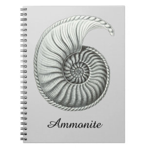 Carnet Ammonite
