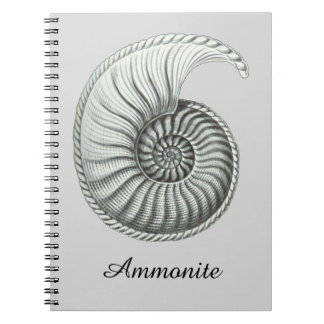 Carnet Ammonite