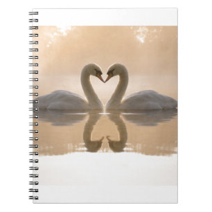 Carnet Amour de cygne