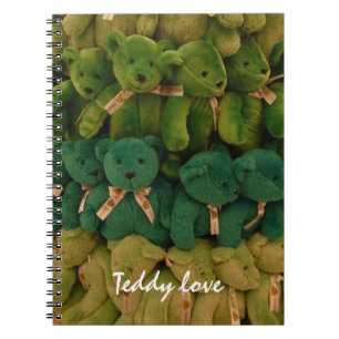 Carnet amour de nounours