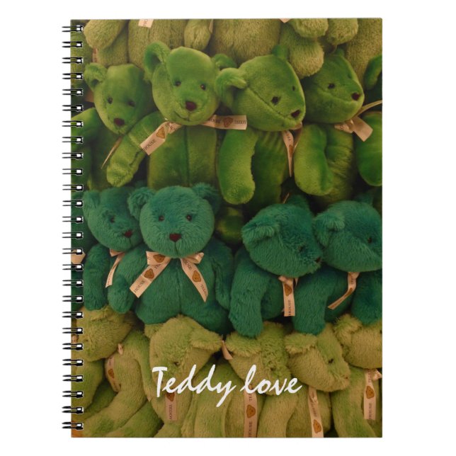 Carnet amour de nounours (Devant)