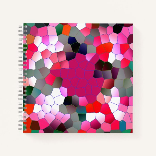 Carnet Amusement rose...... (Devant)