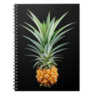 Carnet Ananas avec grande coiffure sur arrière - plan noi
