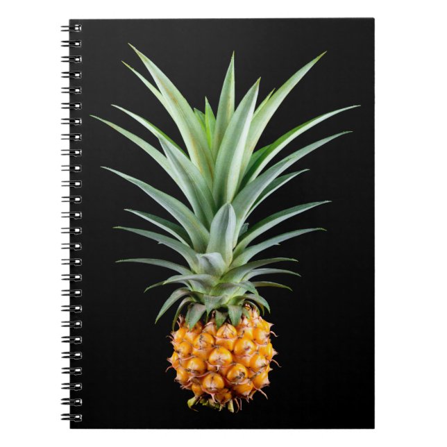 Carnet Ananas avec grande coiffure sur arrière - plan noi (Devant)