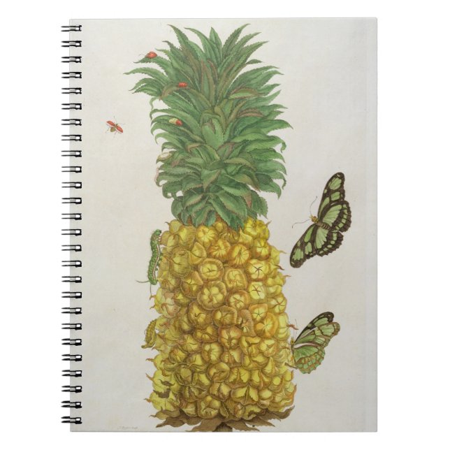 Carnet Ananas avec la chenille et les papillons (main-c (Devant)