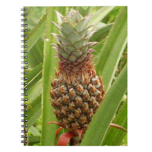 Carnet Ananas sauvage Fruit tropical dans la nature (Devant)