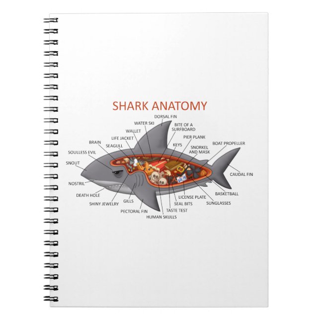 Carnet Anatomie de requin (Devant)