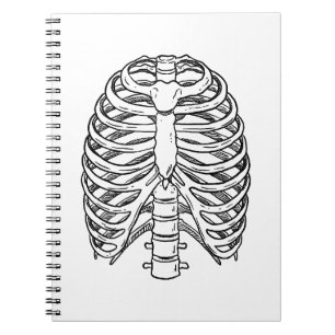 Carnet Anatomie détaillée de la cage thoracique en ligne