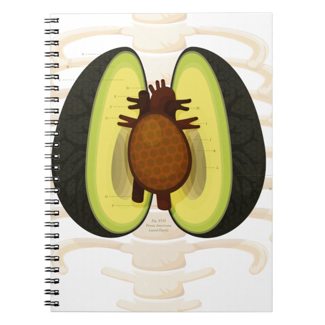 Carnet Anatomie d'un avocat (Devant)