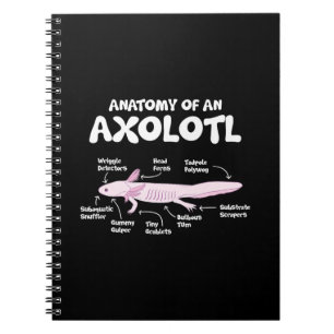 Carnet anatomie d'un axolotl axolotls biologie science