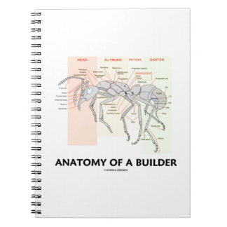 Carnet Anatomie D'Un Constructeur (Anatomie Du Travailleu
