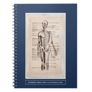 Carnet Anatomie humaine et physiologie Customisée