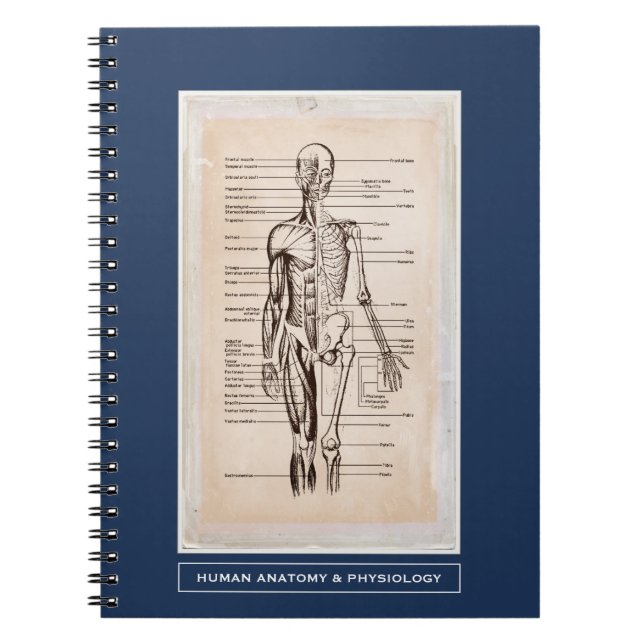 Carnet Anatomie humaine et physiologie Customisée (Devant)