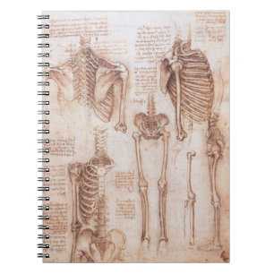 Carnet Anatomie humaine Squelette os par Leonardo da Vinc