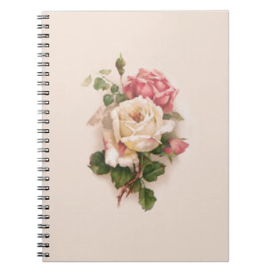 Carnet Ancien Arrière - plan blanc/rose Roses-Buff