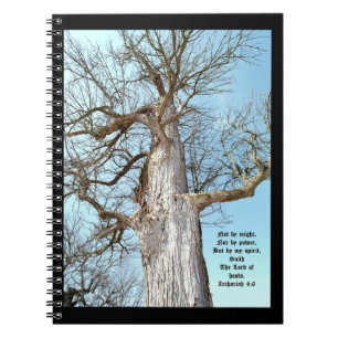 Carnet Ancien Ash Zacharie 4:6