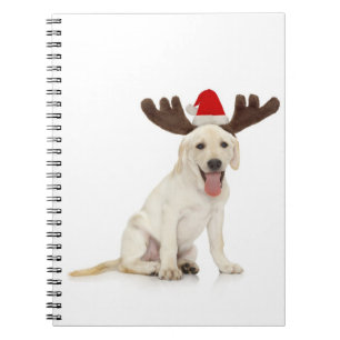 Carnet Andouillers de port de chiot de laboratoire