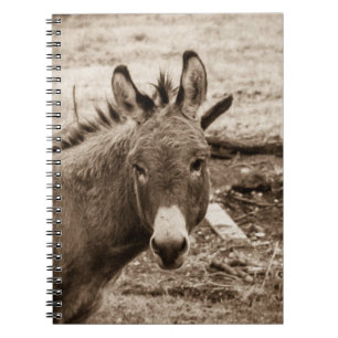 Carnet Âne