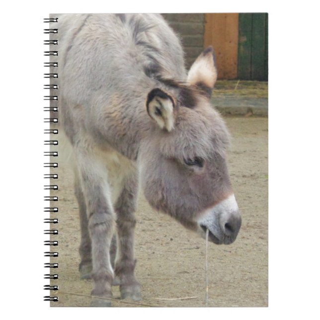 Carnet Âne doux, Gris animal, Famille de chevaux (Devant)