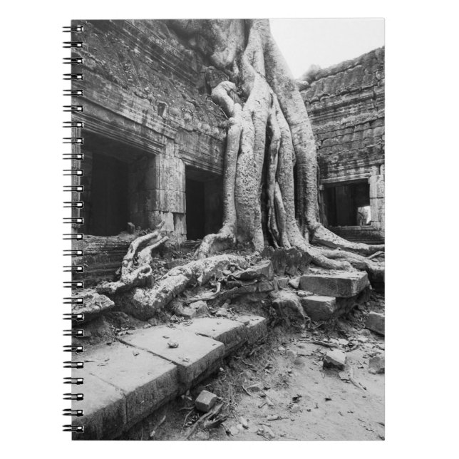 Carnet Angkor Cambodia, Ta Prohm Tree (Devant)