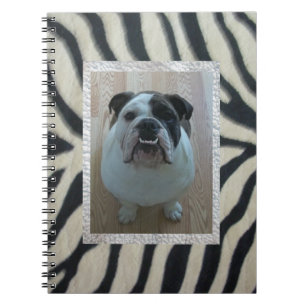 Carnet anglais de bouledogue de zèbre