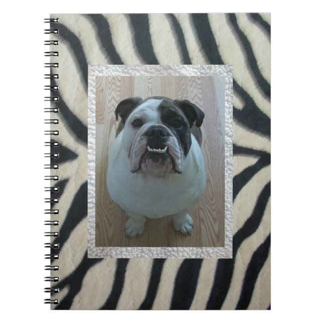 Carnet anglais de bouledogue de zèbre (Devant)