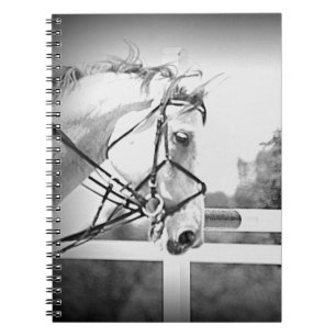 Carnet Anglais Horse Note book